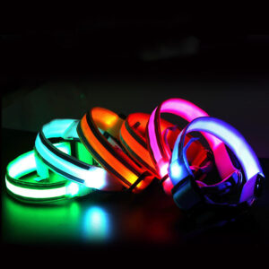 Anti-lost Led Luminous Rechargeable Dog Collar Pet Supplies